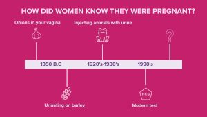 The strange history of pregnancy tests: From barley seeds to TikTok hacks